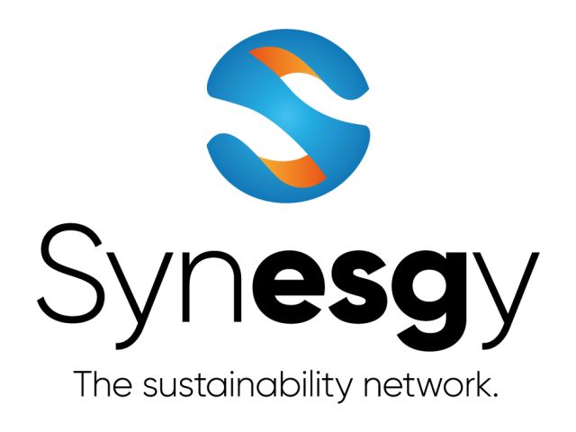 logo_synesgy