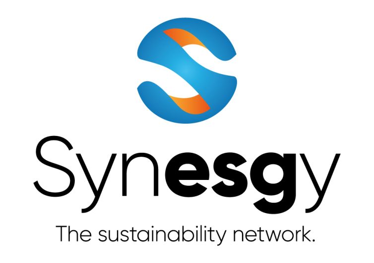 logo_synesgy